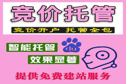 SEM托管服务案例分析：优化广告效果，降低成本